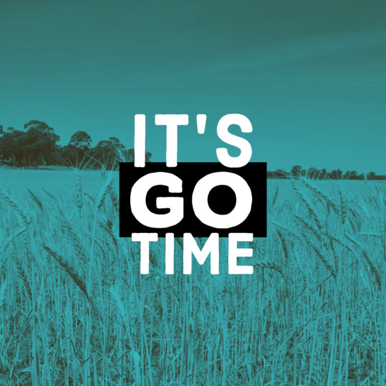 It s go time lifegroup leaders